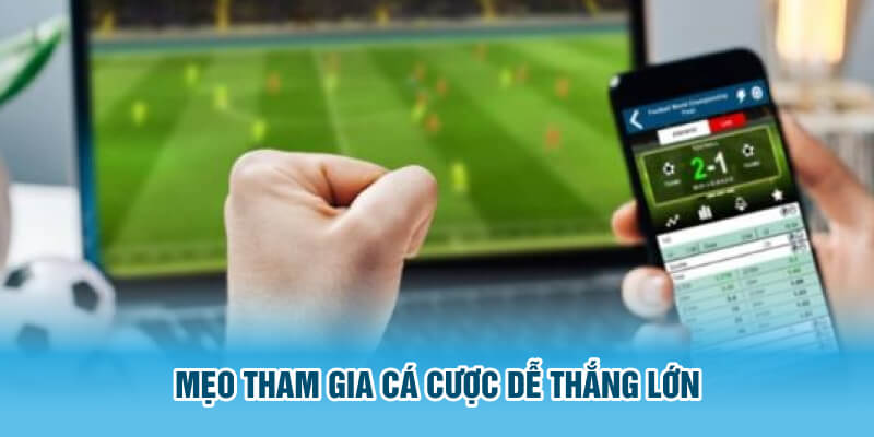 Mẹo tham gia cá cược dễ thắng lớn