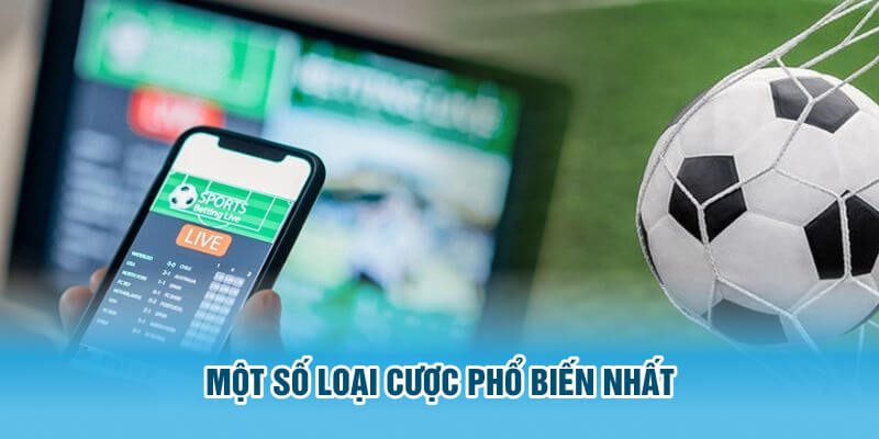 Một số loại cược phổ biến nhất